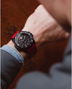 Купить Механические наручные часы Luminox XS.3875 Master Carbon SEAL Automatic 3875  в E-mobi