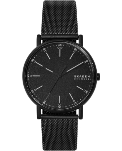 Купить Наручные часы Skagen SKW6579 в E-mobi