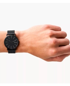 Купить Наручные часы Skagen SKW6579  в E-mobi