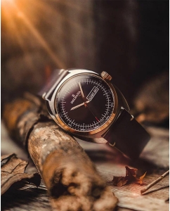 Купить Швейцарские наручные часы Delbana 53601.714.6.032  в E-mobi