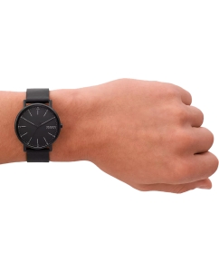 Купить Наручные часы Skagen SKW6902  в E-mobi