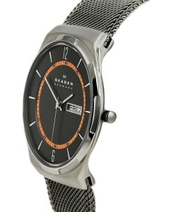 Купить Титановые наручные часы Skagen SKW6007  в E-mobi