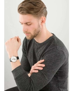 Купить Наручные часы Zeppelin ZEP-70361  в E-mobi