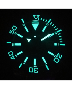 Купить Швейцарские механические наручные часы DAVOSA DAV.16152204  в E-mobi