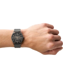 Купить Наручные часы Skagen SKW6180  в E-mobi