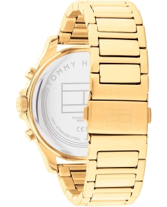 Купить Наручные часы Tommy Hilfiger 1710520  в E-mobi