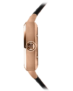 Купить Механические наручные часы AGELOCER 3303D1  в E-mobi