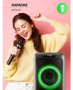 Купить Портативная колонка AIWA CAS-500 Black (AIWA CAS-500)  в E-mobi