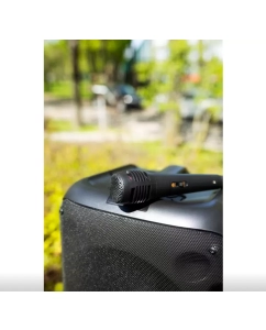 Купить Портативная колонка SmartBuy SBS-5520 Black (4690626102965)  в E-mobi