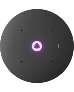 Купить Умная колонка Яндекс Станция Мини 3 Pro Zigbee с Алисой Серая  в E-mobi