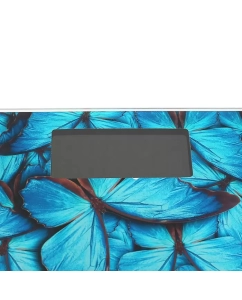 Купить Весы напольные Аксинья КС-6001  в E-mobi