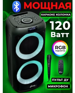 Купить Портативная колонка Ritmix SP-875B Black в E-mobi