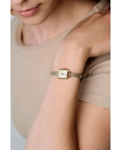 Купить Наручные часы Daniel Wellington Quadro Mini 15.4x18.2 Evergold G Champagne  в E-mobi