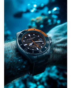 Купить Наручные часы Stuhrling 4058.1  в E-mobi