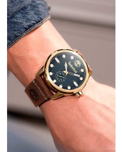 Купить Наручные часы Timberland TDWGA0028502  в E-mobi