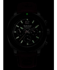 Купить Наручные часы Timberland TDWGF0074902  в E-mobi