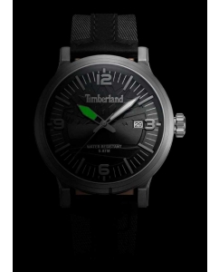 Купить Наручные часы Timberland TDWGN0029103  в E-mobi