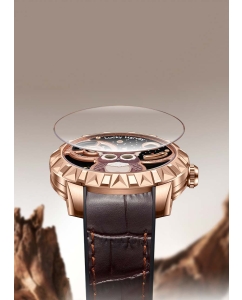 Купить Механические наручные часы Lucky Harvey ZLS104-2  в E-mobi