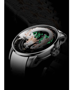 Купить Механические наручные часы Lucky Harvey ZLS202-4  в E-mobi