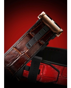 Купить Механические наручные часы Lucky Harvey ZLS501-2  в E-mobi