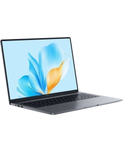 Купить Ноутбук HONOR MagicBook X 16 (5301ALXN) Intel Core i5-13420H/16Gb/SSD512Gb/16"/IPS/FHD+/60Hz/NoOS/Grey (5301ALXN)  в E-mobi