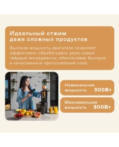 Купить Соковыжималка шнековая GARLYN J-400 900 Вт серый; черный  в E-mobi