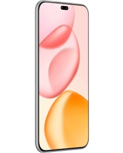 Купить Смартфон HONOR 400 Pro 12/256GB Grey  в E-mobi