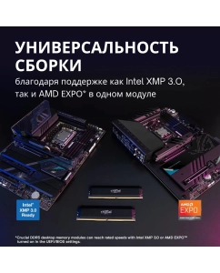 Купить Оперативная память Crucial Pro CP2K16G60C36U5B DDR5 2x16Gb 6000MHz  в E-mobi
