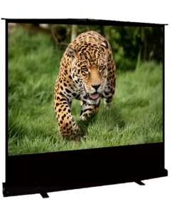 Купить Экран Cinema S-OK SCPSF-203x114 92-- 16:9 напольный, переносной, ручной, черный корпус в E-mobi