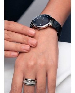 Купить Наручные часы Bering ber-14639-307  в E-mobi