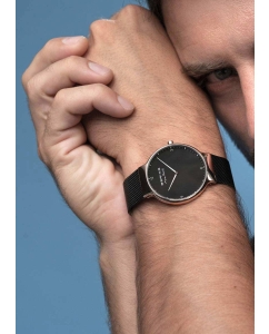 Купить Наручные часы Bering ber-15540-262  в E-mobi