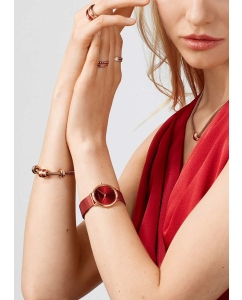 Купить Наручные часы Bering ber-15729-363  в E-mobi