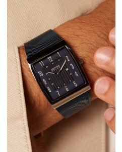 Купить Наручные часы Bering ber-16433-307  в E-mobi