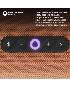 Купить Умная колонка Яндекс Станция Стрит с Алисой, оранжевый (YNDX-00030ORG)  в E-mobi