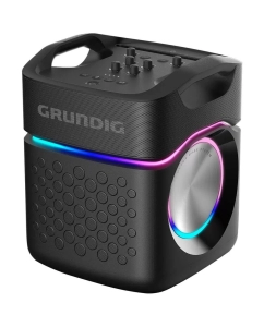 Купить Портативная колонка Grundig PartyHit Max Black в E-mobi
