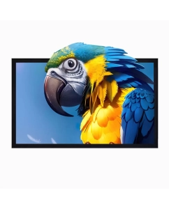 Купить Экран для проектора S-OK SCFRV-298x168G 135" 16:9 на бархатной раме High Contrast Gray  в E-mobi