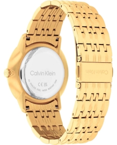 Купить Наручные часы Calvin Klein 25300007  в E-mobi