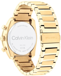 Купить Наручные часы Calvin Klein 25200465  в E-mobi
