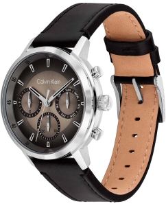 Купить Наручные часы Calvin Klein 25200496  в E-mobi