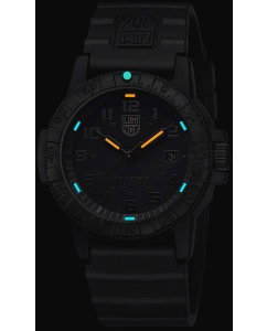 Купить Наручные часы Luminox XS.0321.BO.L LEATHERBACK SEA TURTLE GIANT 0320 SERIES  в E-mobi