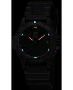Купить Наручные часы Luminox XS.0301.BO.L LEATHERBACK SEA TURTLE 0300 SERIES  в E-mobi