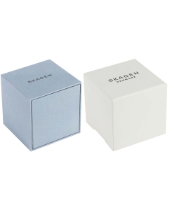 Купить Наручные часы Skagen SKW2981-ucenka  в E-mobi