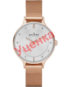 Купить Наручные часы Skagen SKW2151-ucenka  в E-mobi