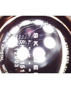 Купить Наручные часы Skagen SKW2151-ucenka  в E-mobi