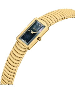 Купить Наручные часы Cerruti 1881 CIWLG0086204  в E-mobi