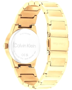 Купить Наручные часы Calvin Klein 25100077  в E-mobi