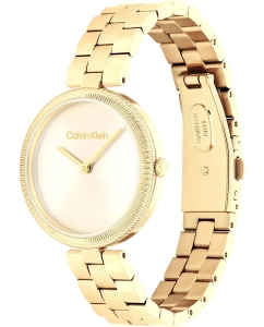 Купить Наручные часы Calvin Klein 25100014  в E-mobi