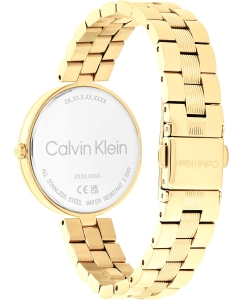 Купить Наручные часы Calvin Klein 25100014  в E-mobi