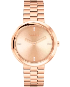 Купить Наручные часы Calvin Klein 25100095 в E-mobi