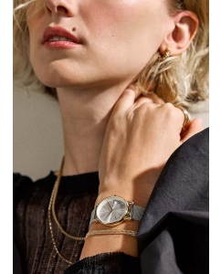 Купить Наручные часы Skagen SKW3153SET  в E-mobi